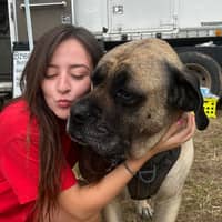 Sitter Profile Image: Sarah C.