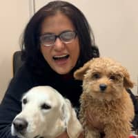 Sitter Profile Image: anne f.