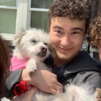 Sitter Profile Image: Cam B.