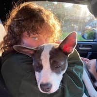 Sitter Profile Image: Cassidy H.