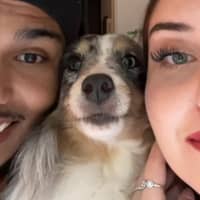 Photo de profil du pet sitter : Jade O.