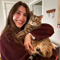 Sitter Profile Image: Kristen S.