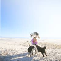 Sitter Profile Image: Lauren M.