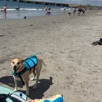 Sitter Profile Image: Matthew & Leanna Z.