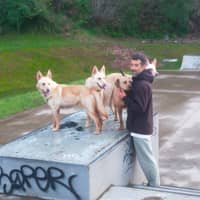 Foto del cuidador: Ronny F.