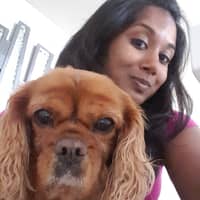 Sitter Profile Image: Suma S.