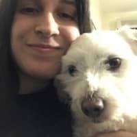 Immagine del profilo del sitter: Eleonora S.