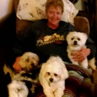 Sitter Profile Image: Karrie S.