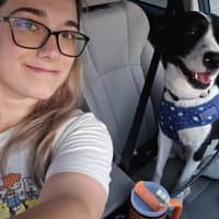 Sitter Profile Image: Ashley C.