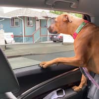 Sitter Profile Image: Robbie L.