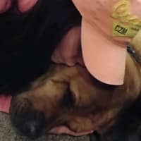 Sitter Profile Image: Peyton J.