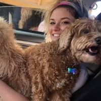 Sitter Profile Image: Rachel E.