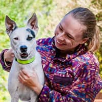 Sitter Profile Image: Rachel L.