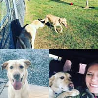 Sitter Profile Image: Joanie S.