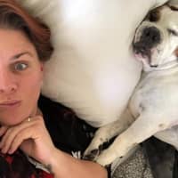 Sitter Profile Image: Allison D.