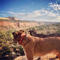 Sitter Profile Image: Anna A.