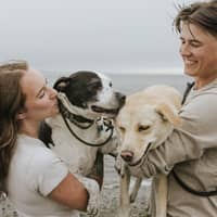 Sitter Profile Image: Megan D.