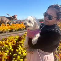 Sitter Profile Image: Indra G.