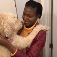 Best Pet Sitters In Kalamazoo Mi Rover Com