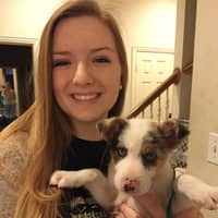 Sitter Profile Image: Rachel K.