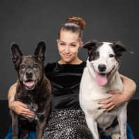 Sitter Profile Image: Beth A.