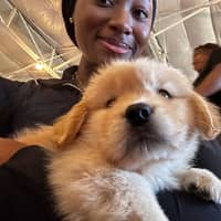 Sitter Profile Image: Joju O.