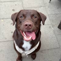 Sitterprofilbild: Svenja J.