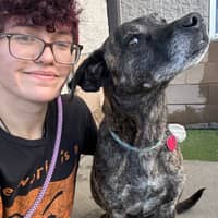 Sitter Profile Image: Mason G.