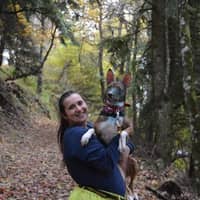 Immagine del profilo del sitter: teresa c.