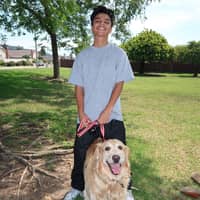 Sitter Profile Image: Gabriel A.