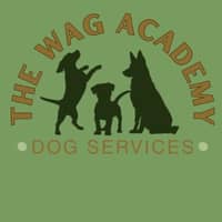 Sitter Profile Image: Maddison B.