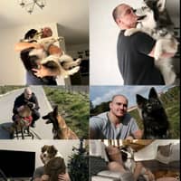 Photo de profil du pet sitter : Clément M.