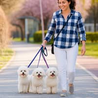 Sitter Profile Image: Paula S.