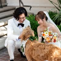 Sitter Profile Image: Aries H.