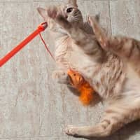 Foto del cuidador: Mateo A.