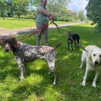 Sitter Profile Image: Nadia V.