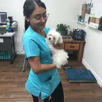 Sitter Profile Image: Brenda R.