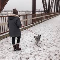 Sitter Profile Image: Katie P.