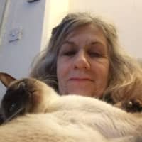 Sitter Profile Image: Mary C.