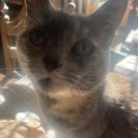 Sitter Profile Image: Isabel S.