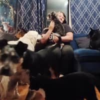 Sitter Profile Image: Alexis E.