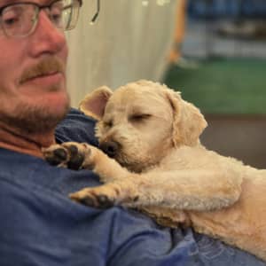 Sitter Profile Image: Dominique H.