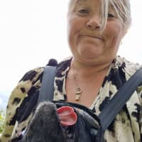 Sitter Profile Image: Janice H.