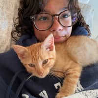 Sitter Profile Image: Isabella H.