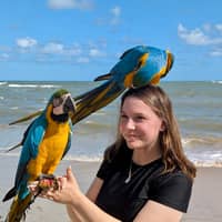 Sitter Profile Image: Madison F.