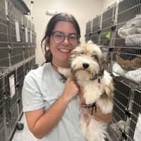 Sitter Profile Image: Natalie R.