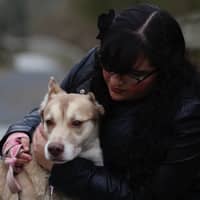 Sitter Profile Image: Crystal N.