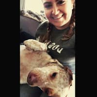 Sitter Profile Image: Taylor O.