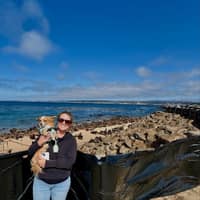 Sitter Profile Image: stephanie m.