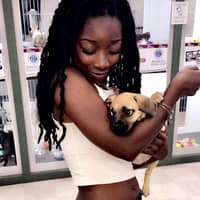 Sitter Profile Image: Chaslynn S.